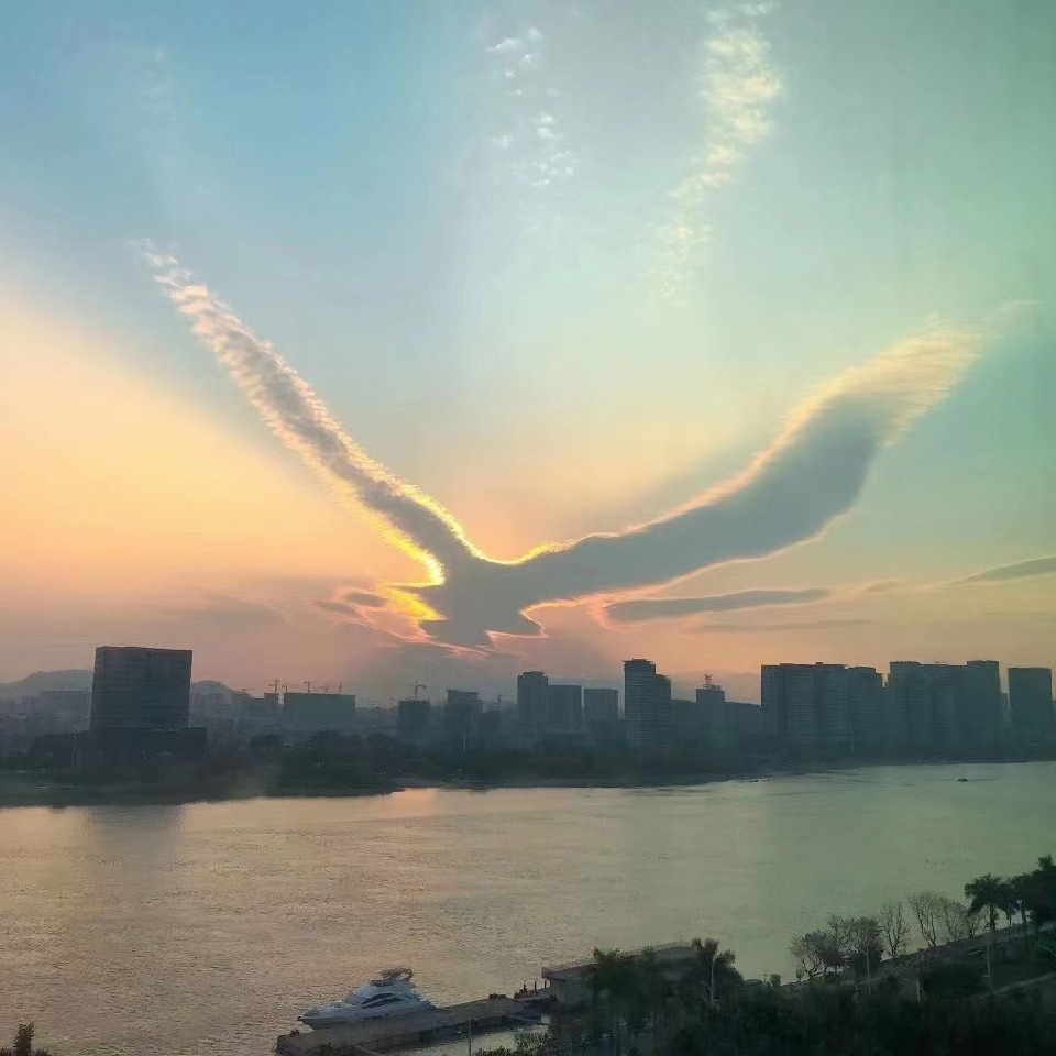 盛世*蝼蚁海报