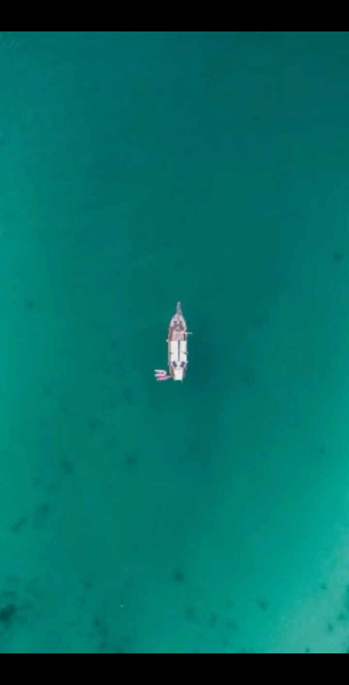 好看