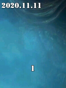 vx搜索大众影屋即可