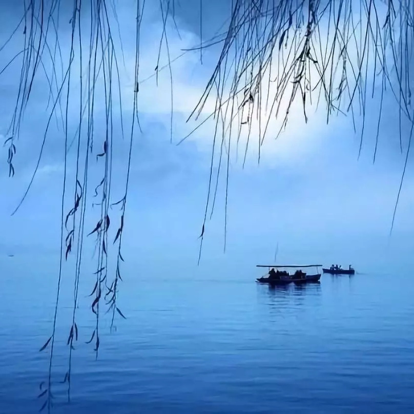 雨滴🌱海报