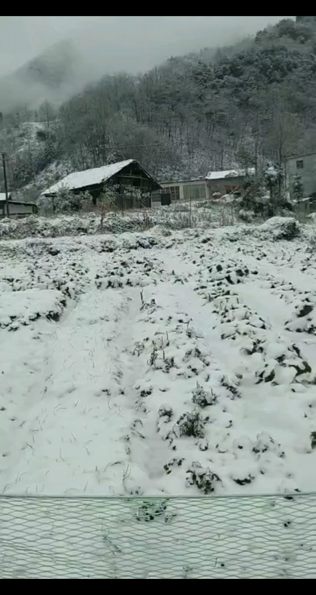 直播第二天，今天又是