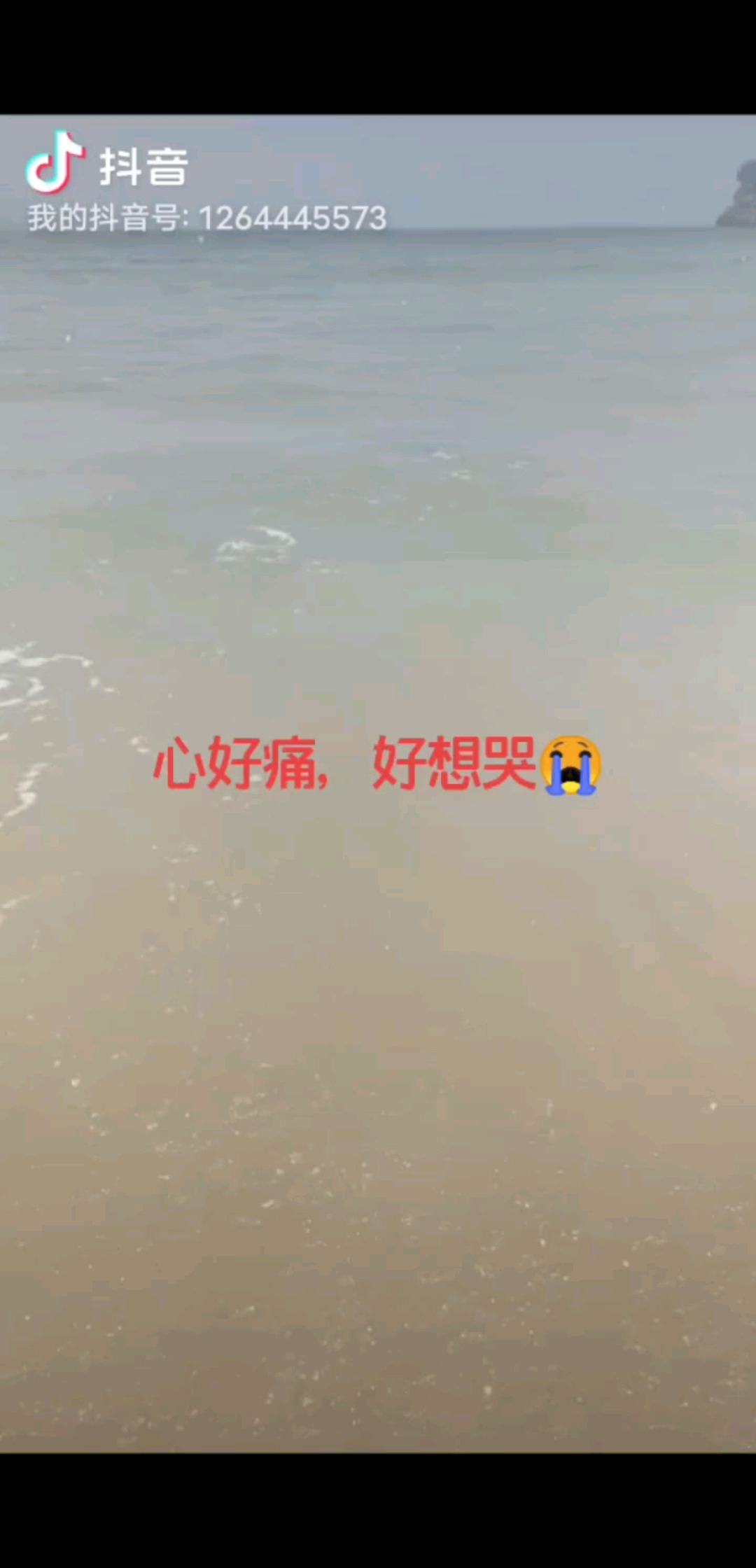 大海的传说