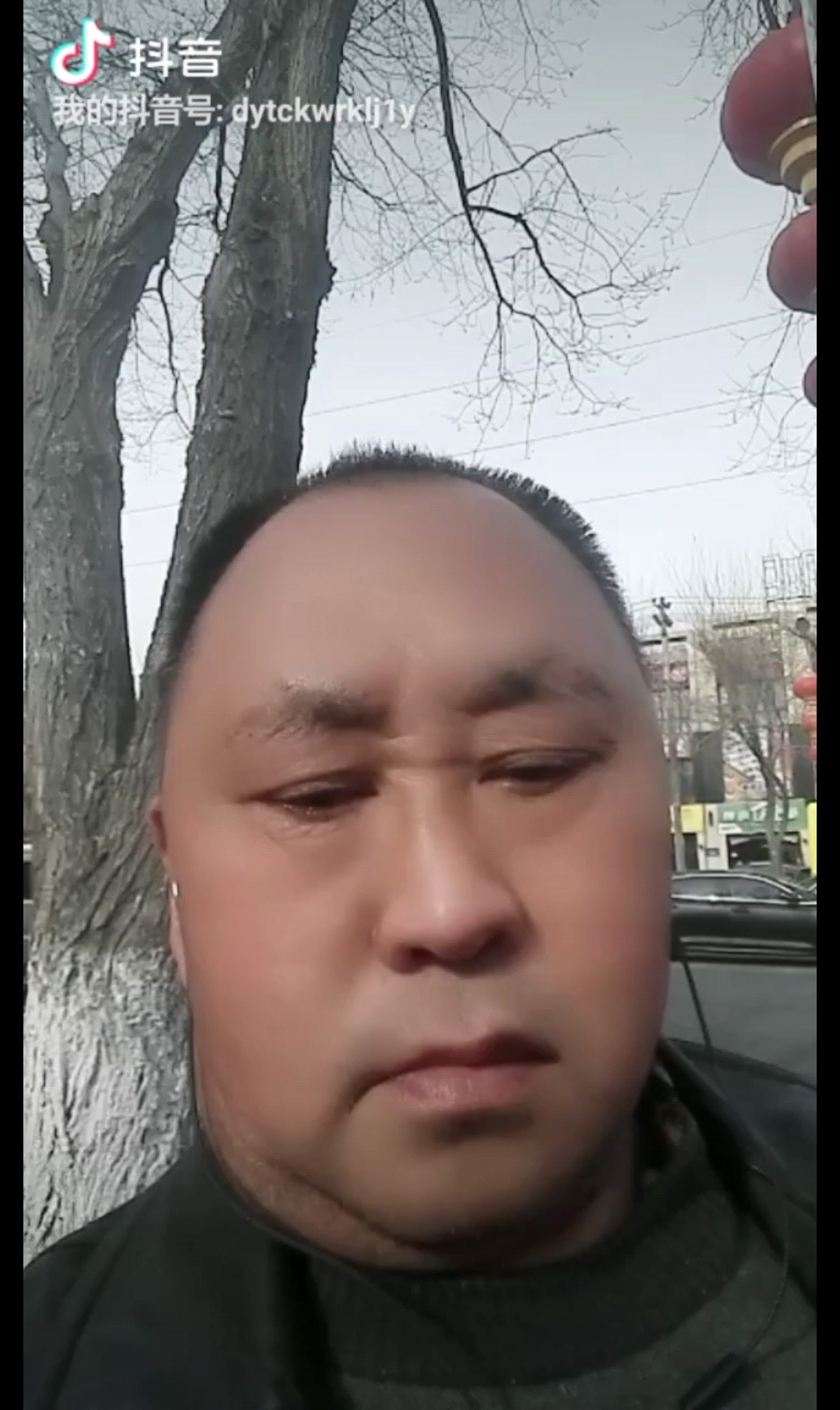 牛二为伴黄鹤楼相随余生足以