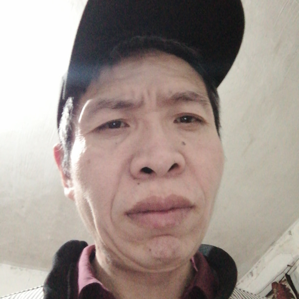 开心果alo海报