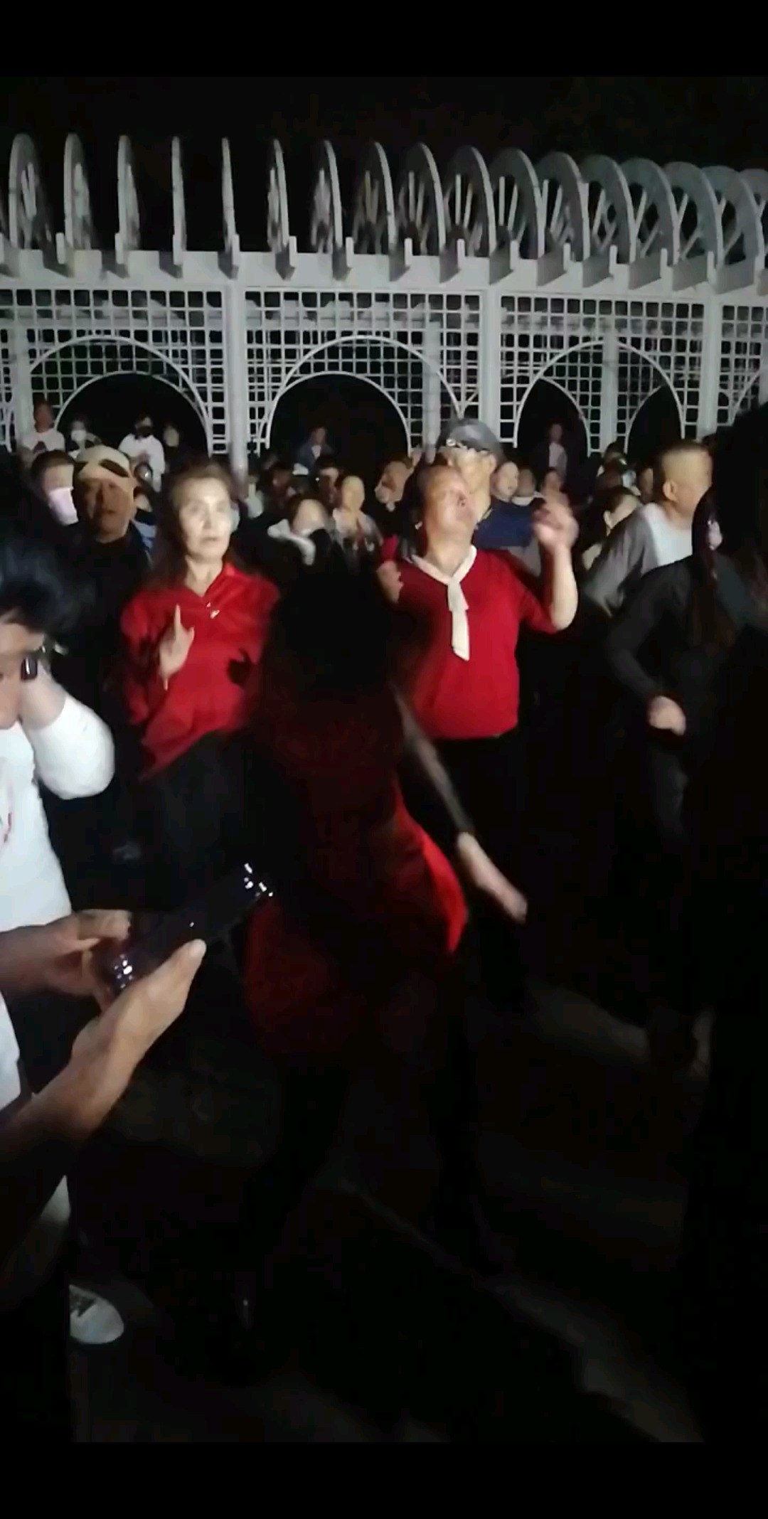 每天蹦迪你来不来。