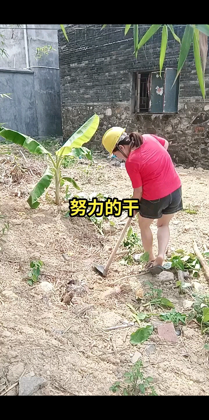 农村的宝妈，努力干农活