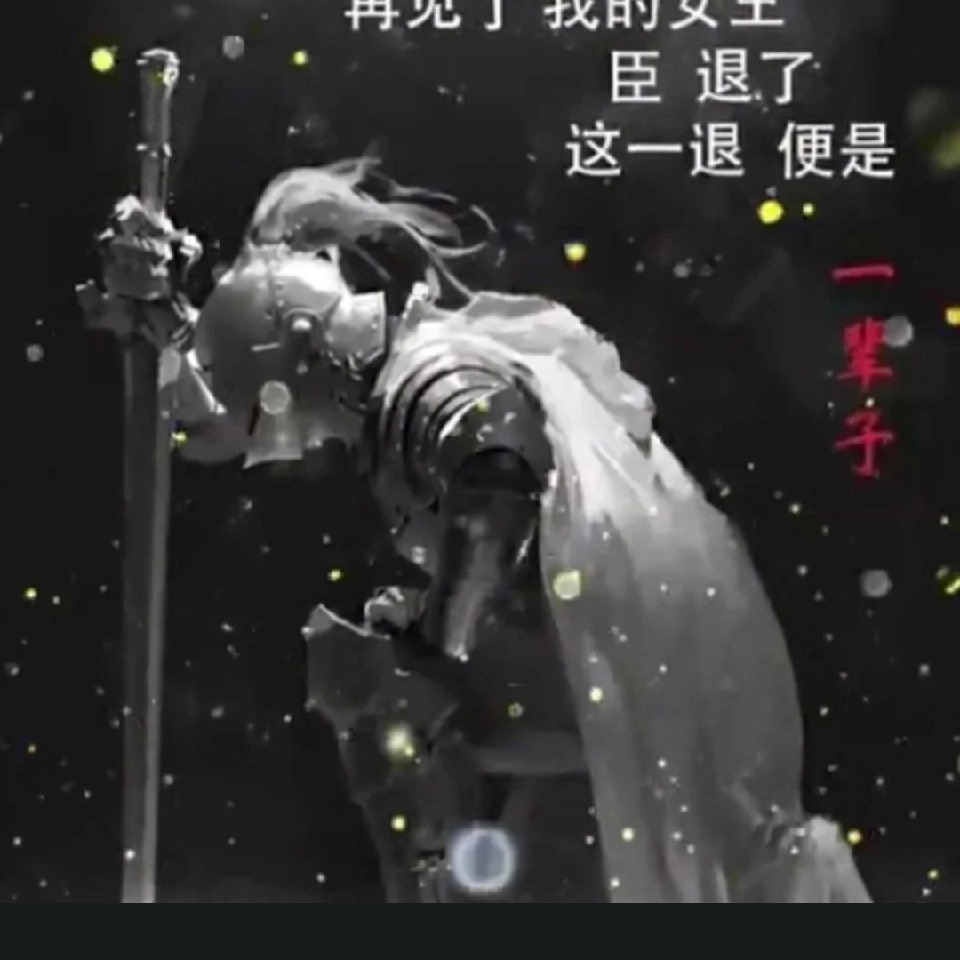 嘉胜v海报