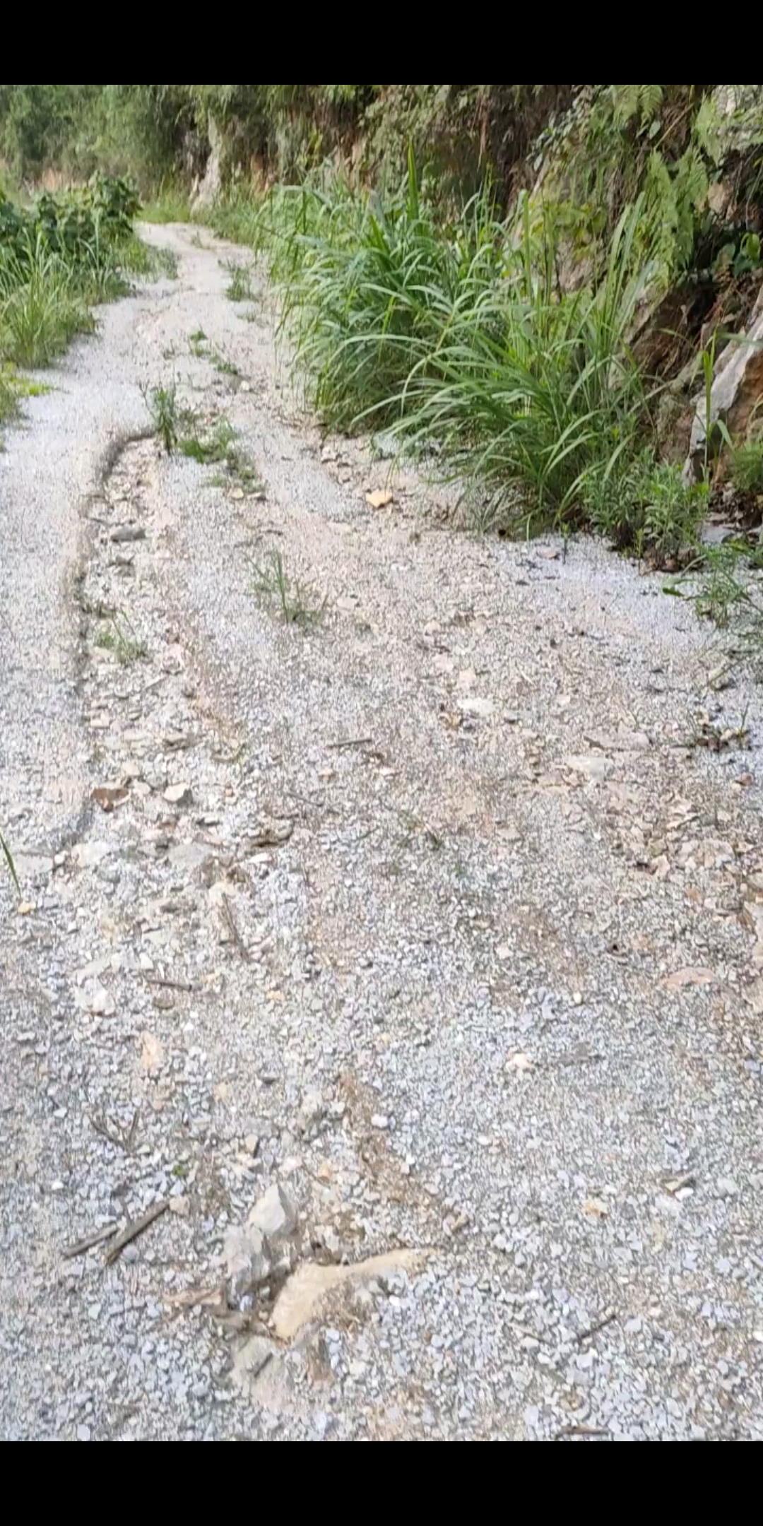 /审视
