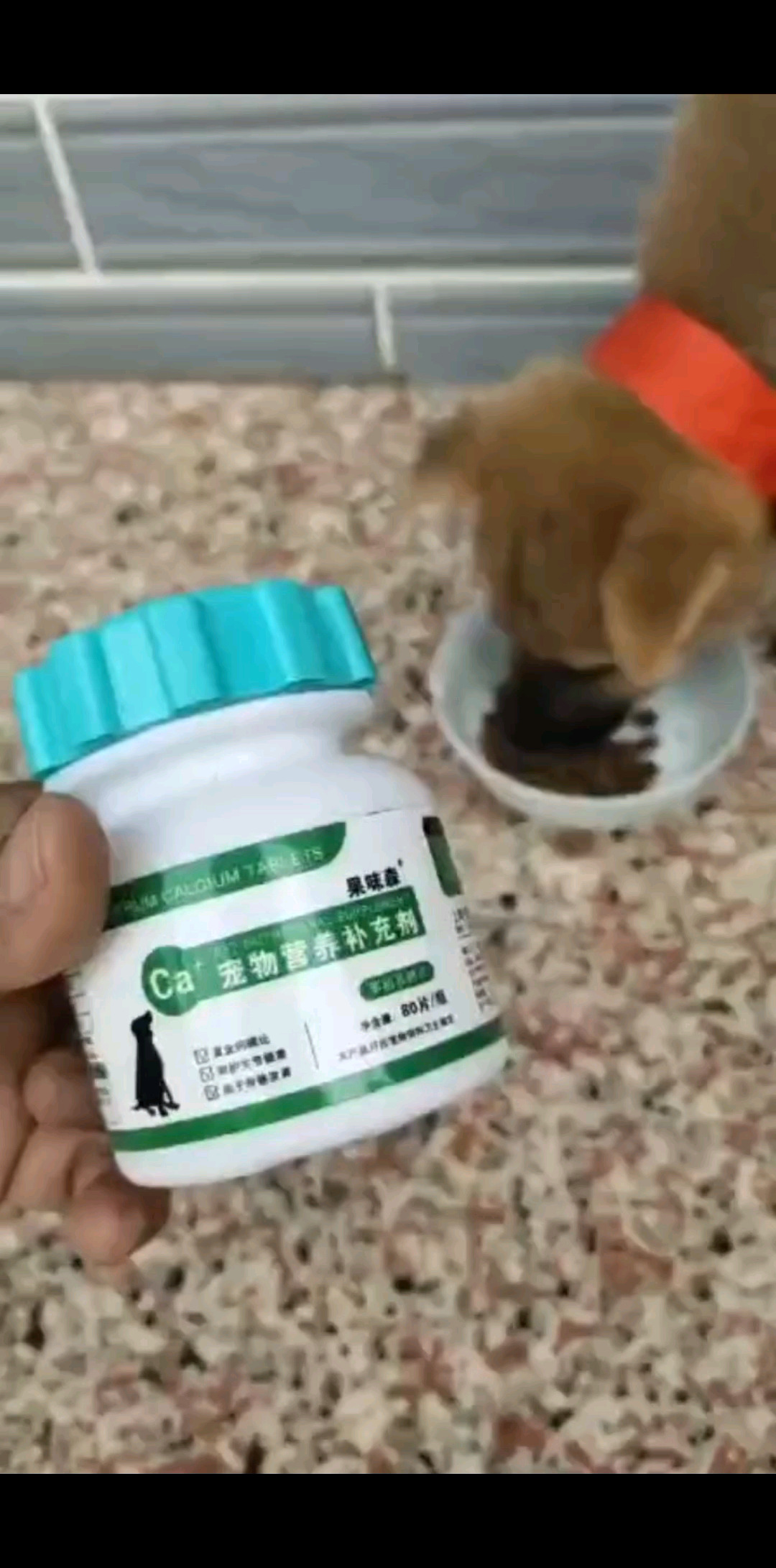 狗狗吃的好香哇