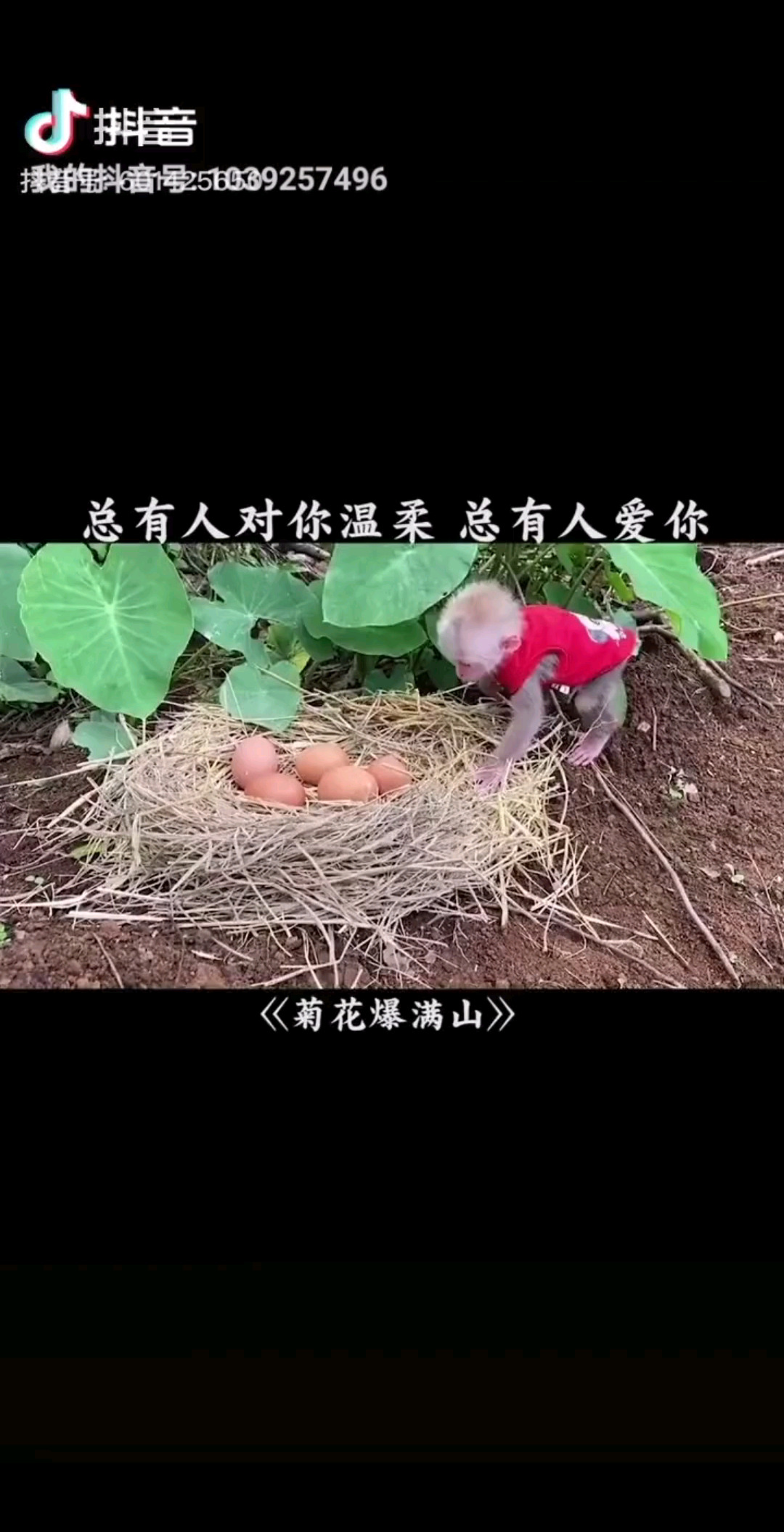 新人求关注，哥哥们谢