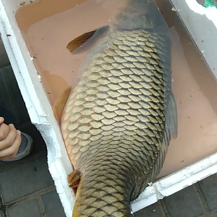 六郎（深夜的酒）海报