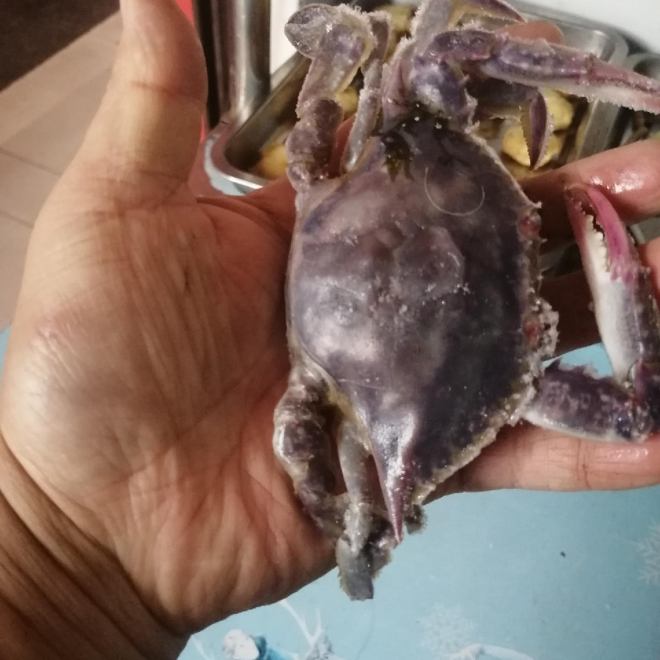 浙西第一帅海报
