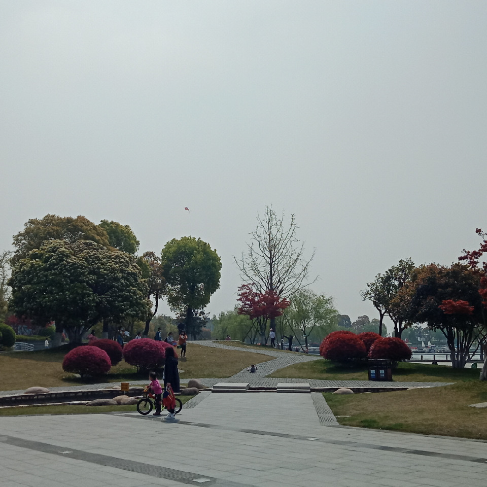 中天，，海报