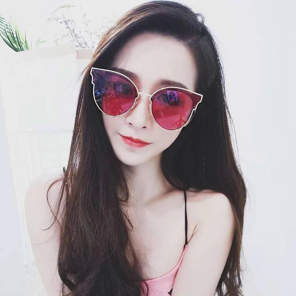 守护小九的骑士海报