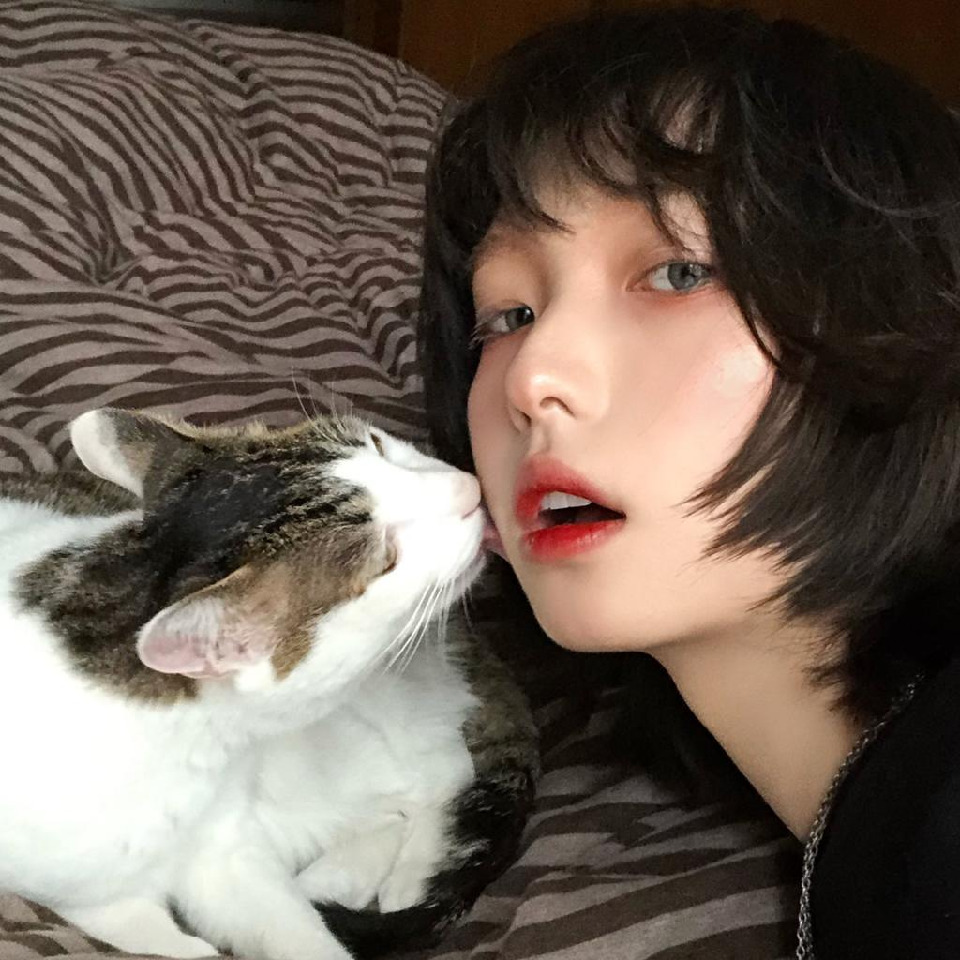 绿藻头y海报