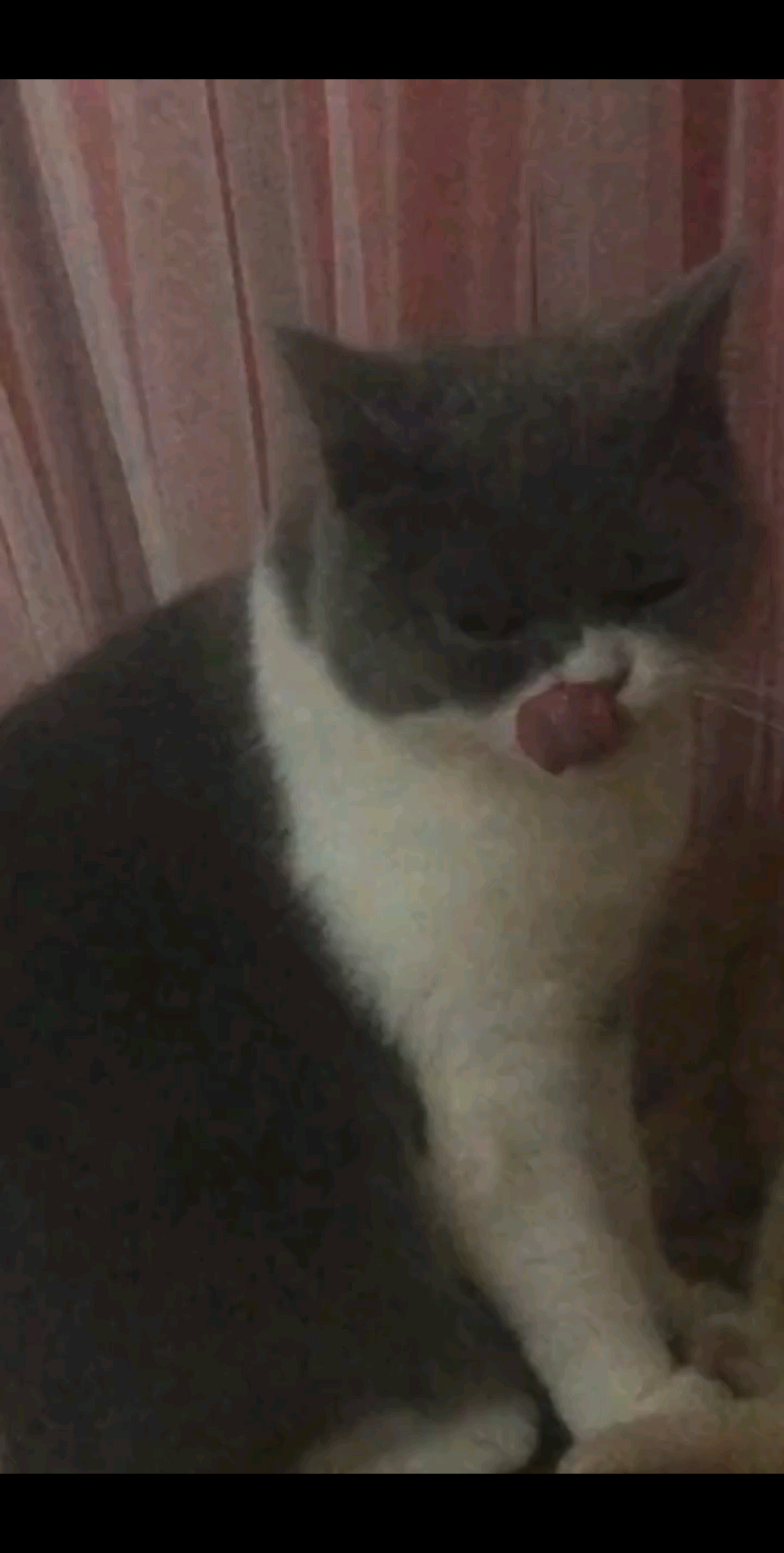 好乖呦