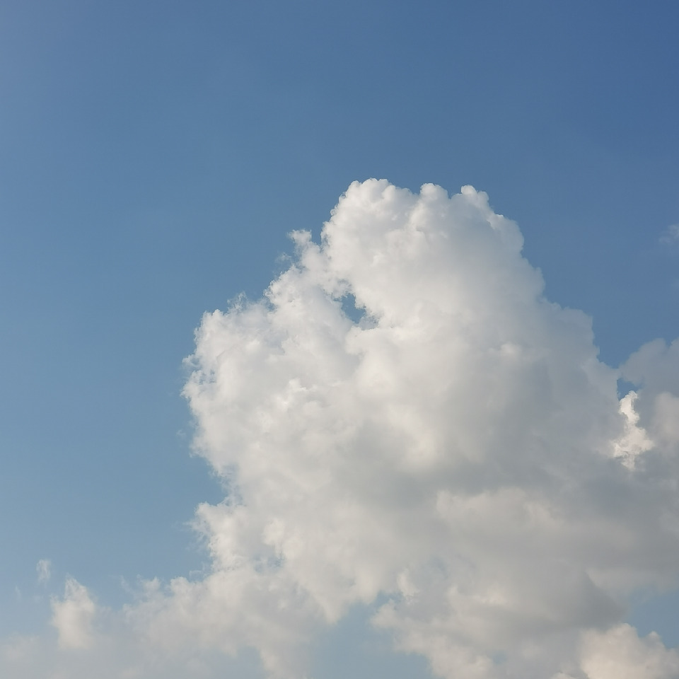 风大雨大、海报