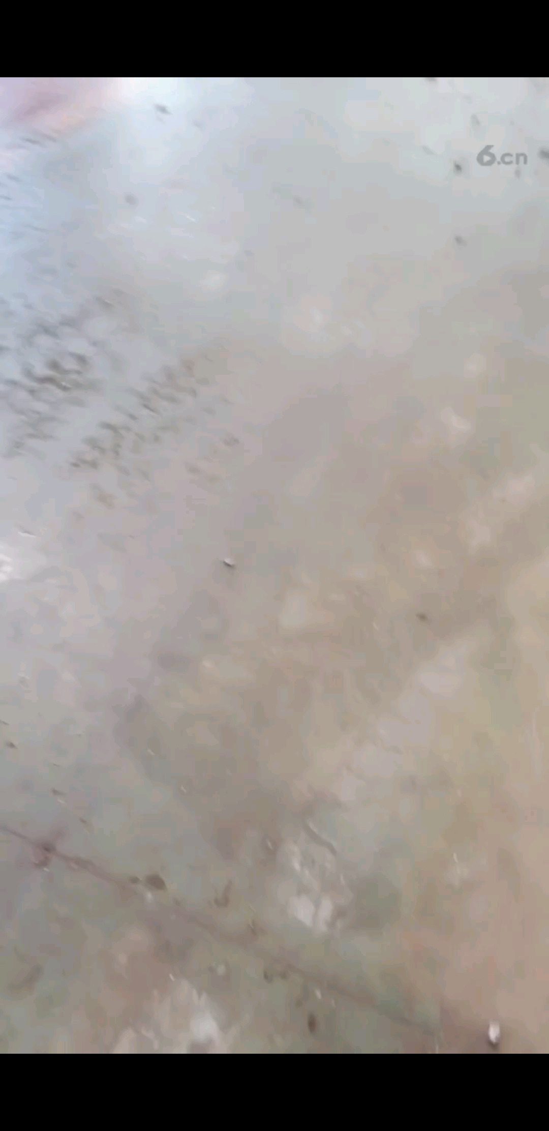 累啊，当个领导，太难