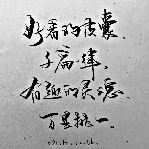 🌼阳阳得意🌼海报