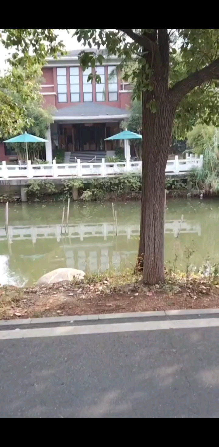 风景不错