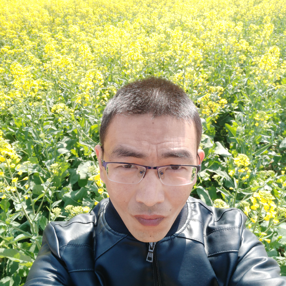 阮家二哥海报