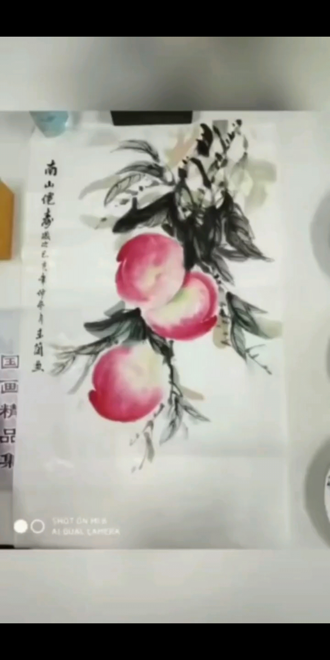 玉兰国画作品