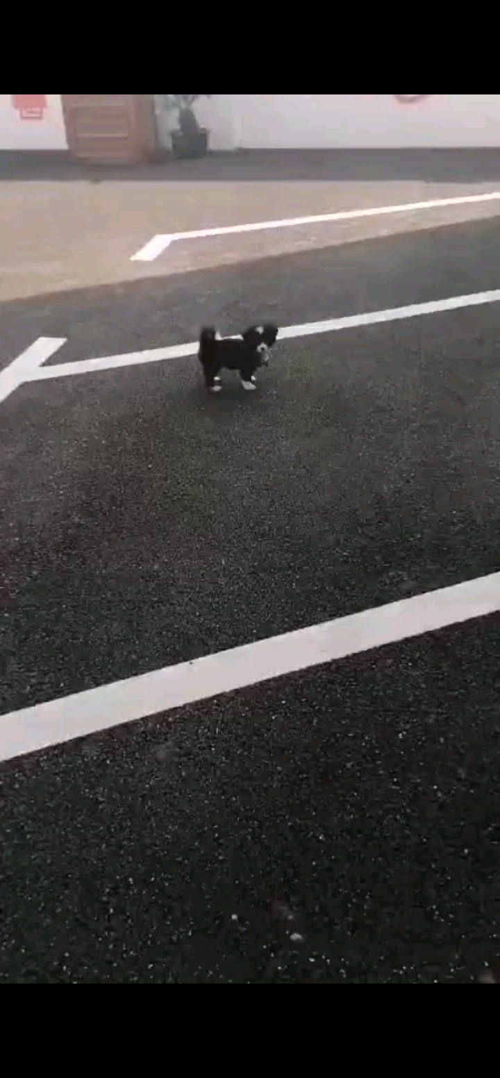 再次看见你，看看你就