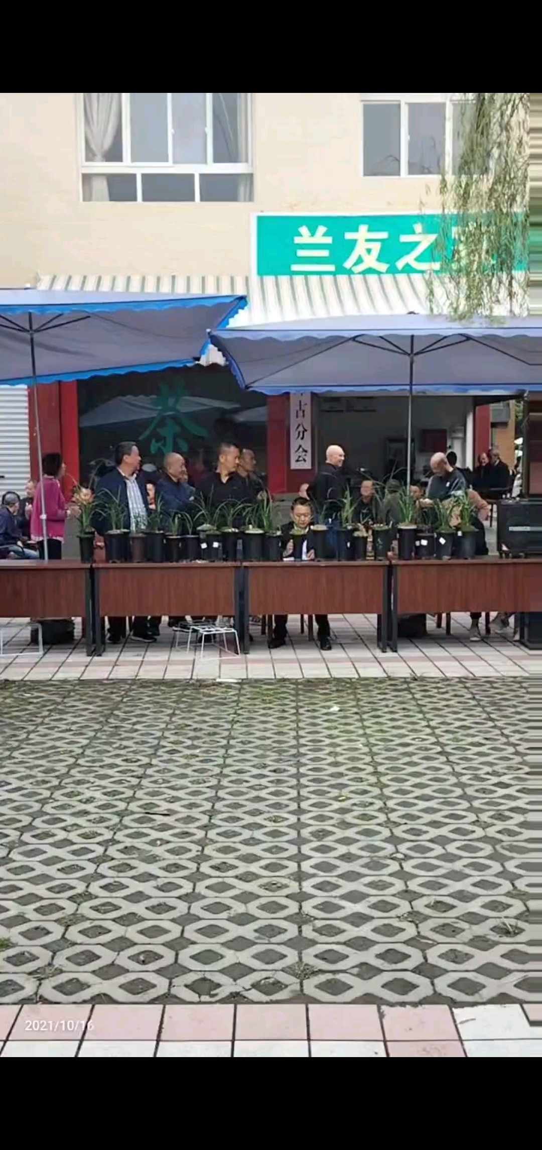 拍卖会现场
