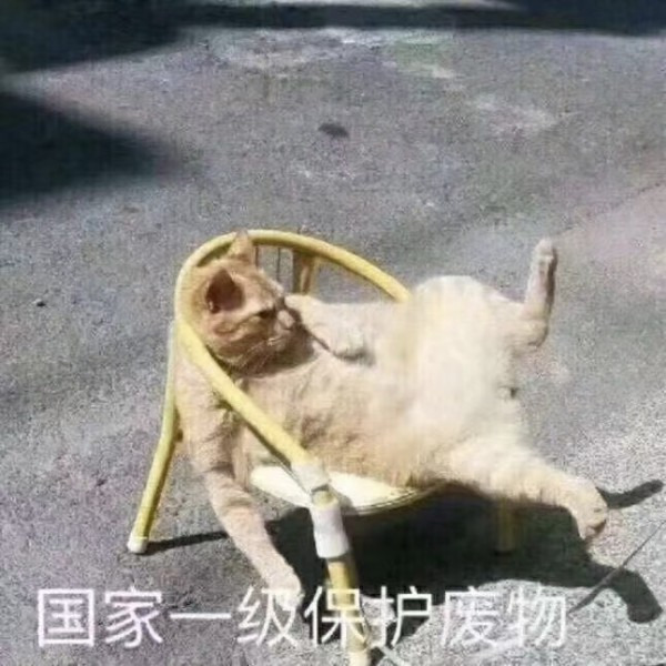 小文崽子海报