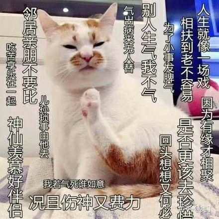 介猴不卖海报