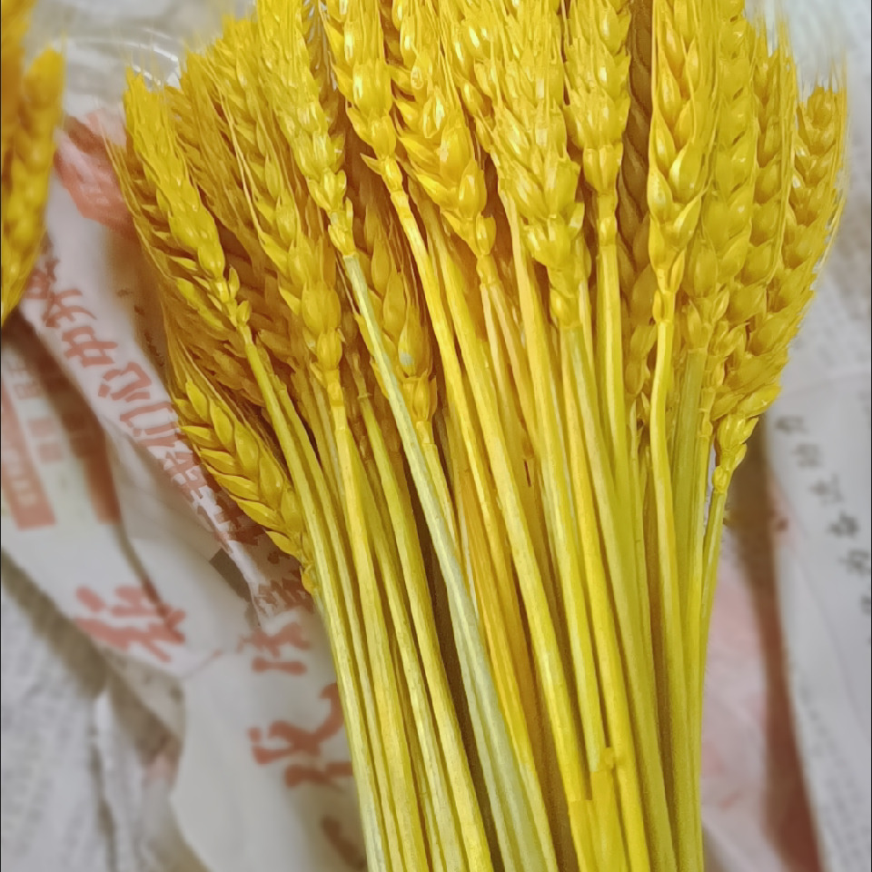 🍁🍁枫叶916海报