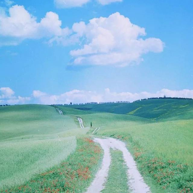 蕊寒香冷🦋nai来海报