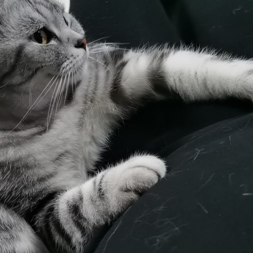 就说就是你海报