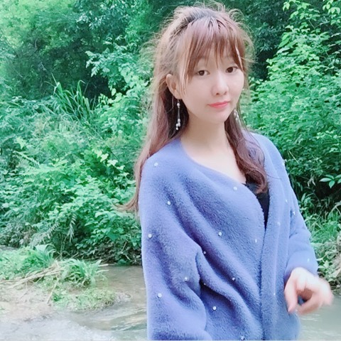 桃花源的花海报