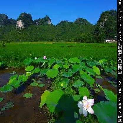 🌺海盗🌴海报