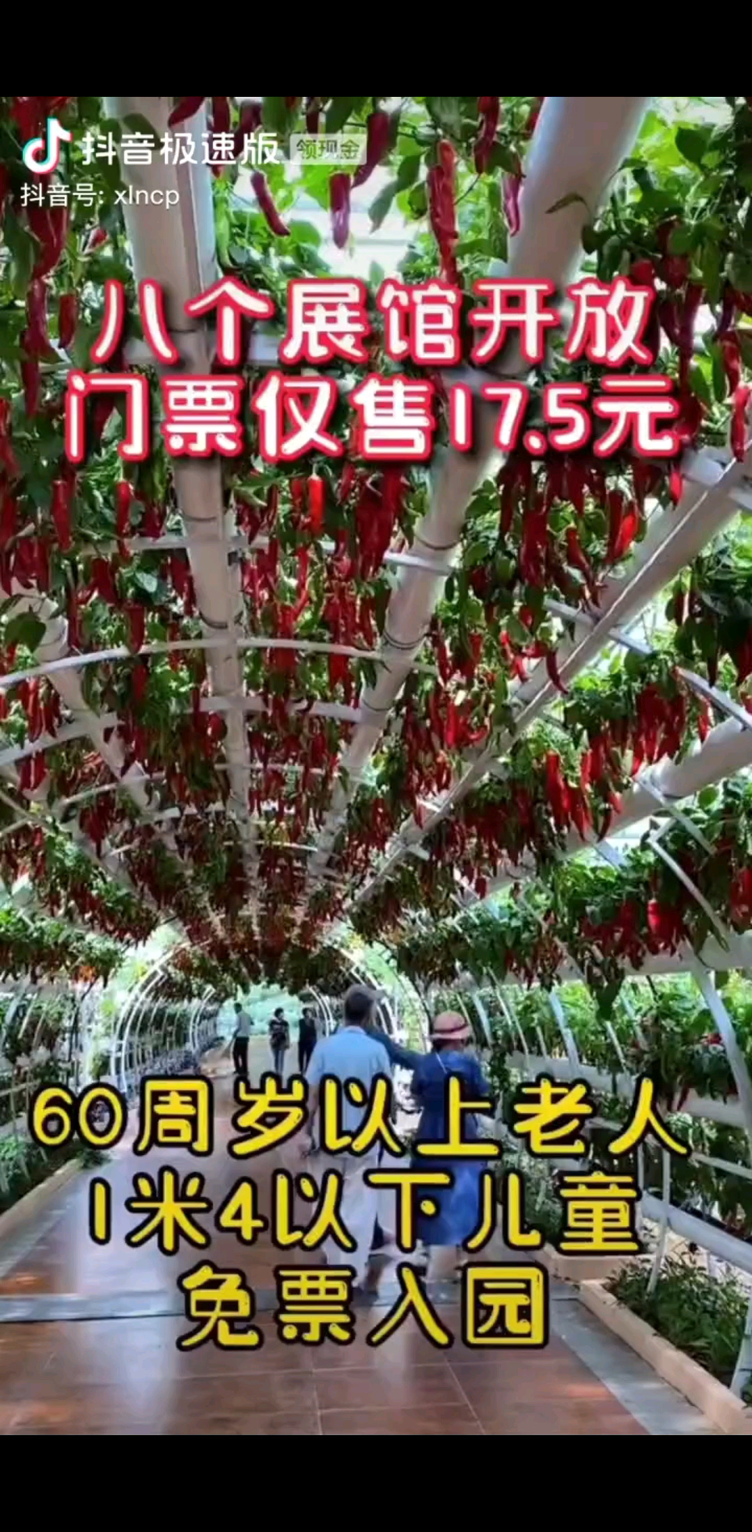 走吧出發(fā)/狂笑
