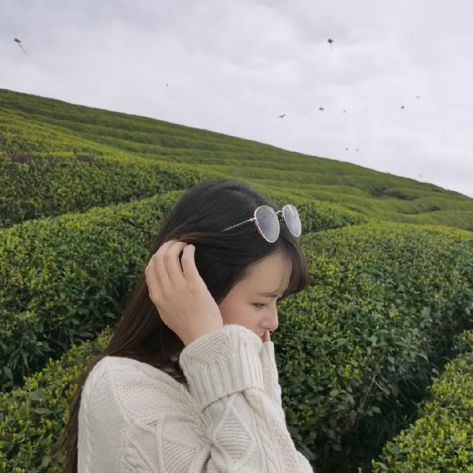 梦想的执着者😎海报