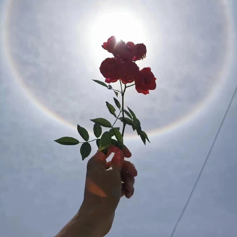 我的臭寶海报