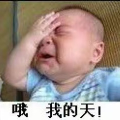 DZ莫宝缘分哥到了海报
