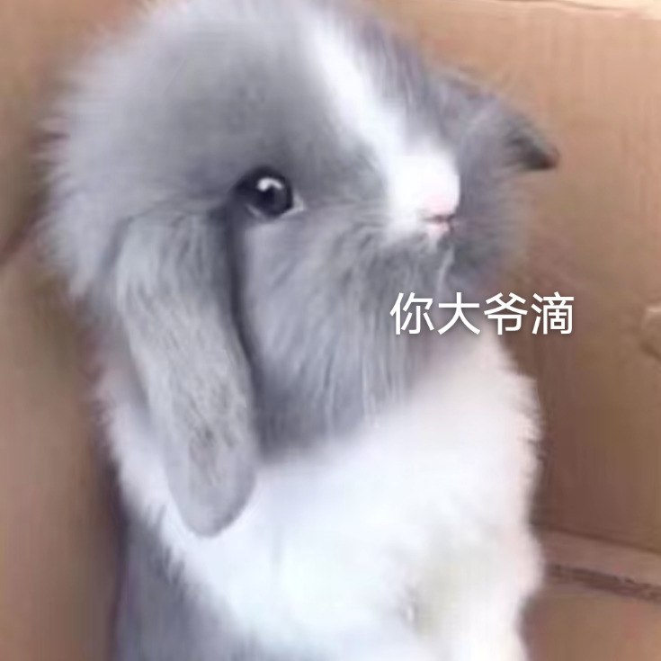 情怀悠悠海报