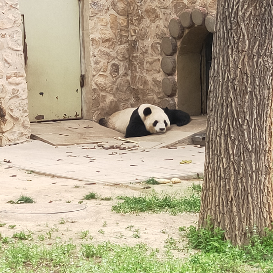 尼古丁的味道zd海报