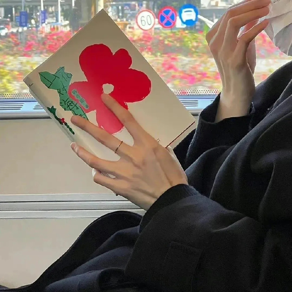 枫叶空空海报