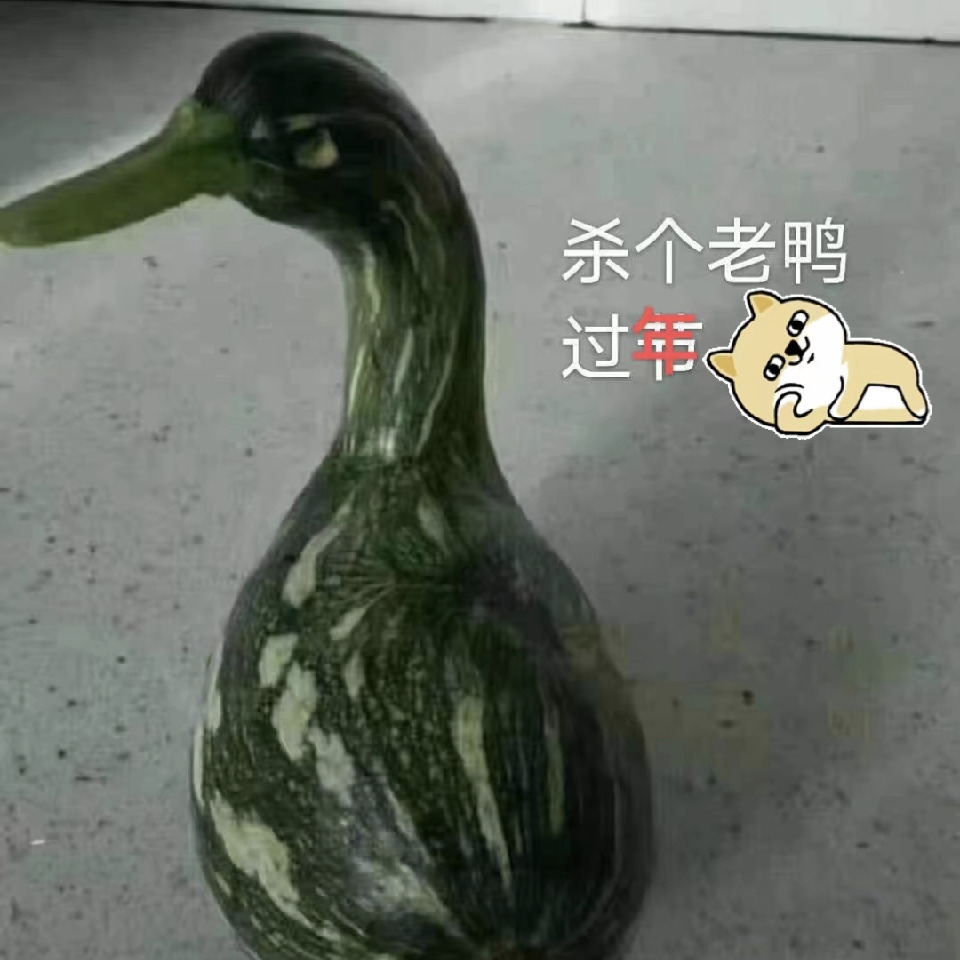 我的哪个她呢海报