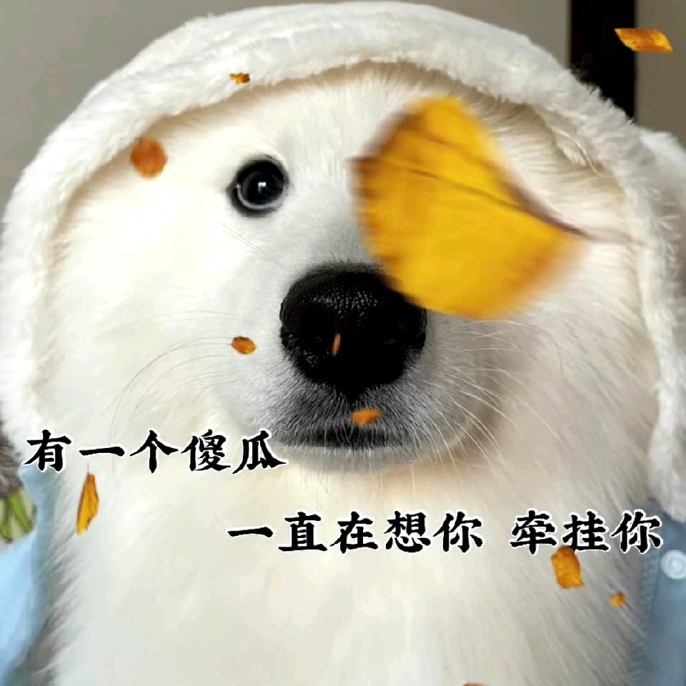 木木木木木子洋海报