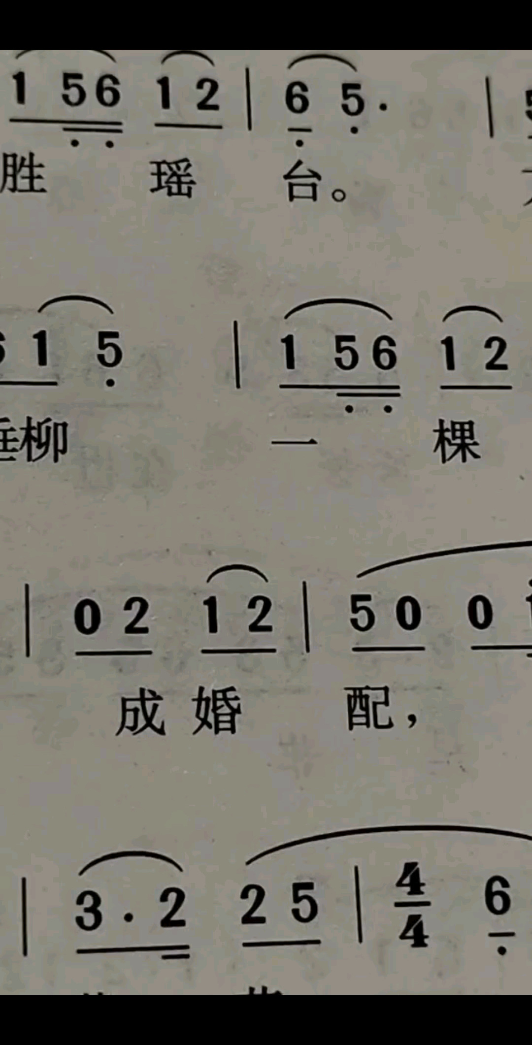 神仙岁月我不爱3