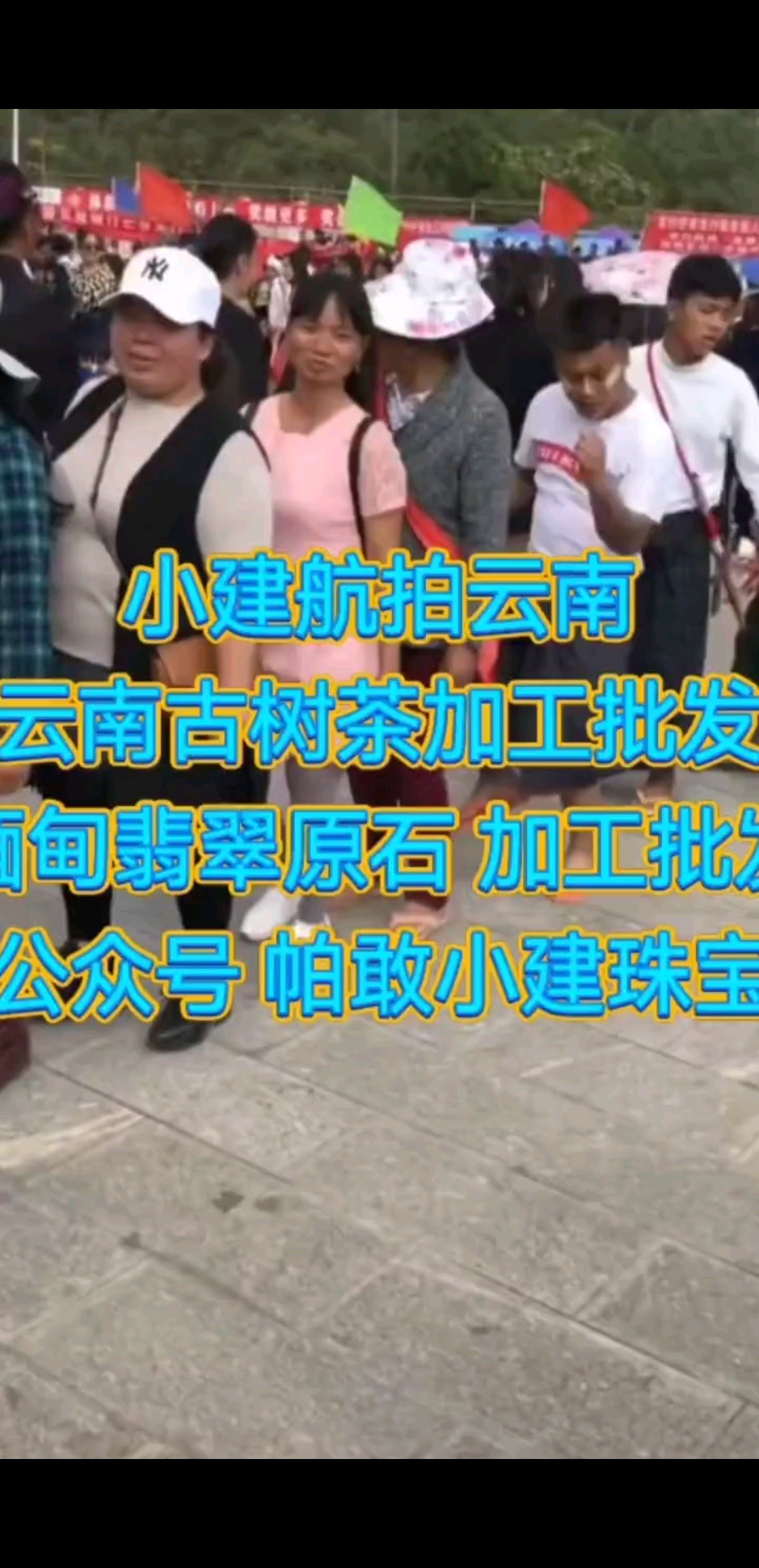 小建航拍云南云南古树