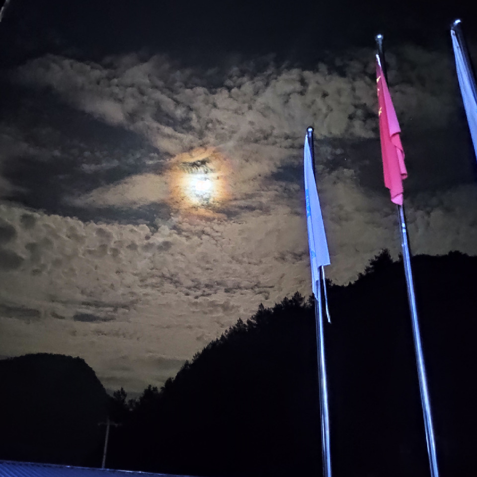 呆呆呆小麦海报