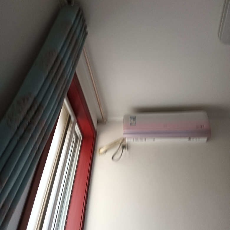 看书的卷毛野猪海报