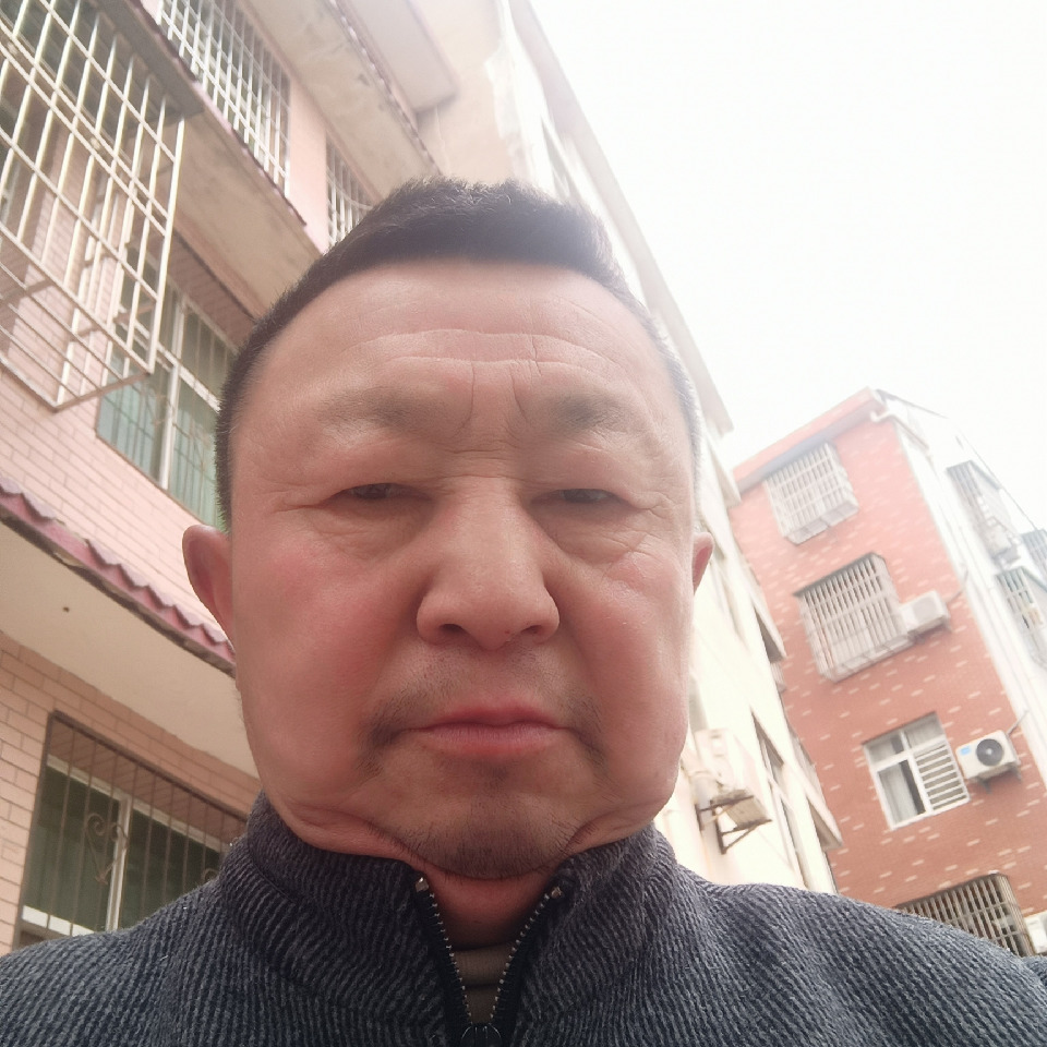 快乐流浪4海报