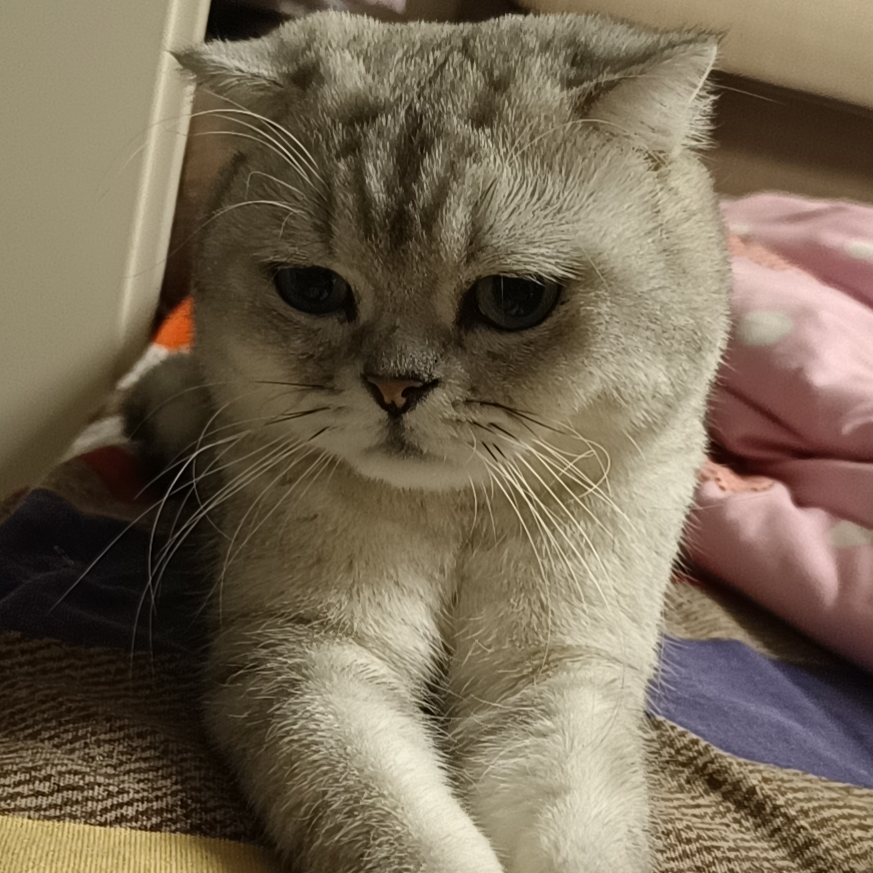 抠搜小老头海报